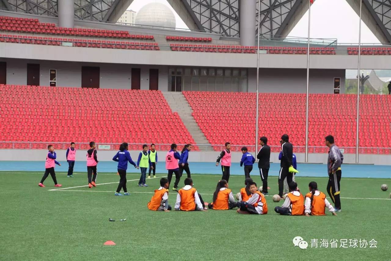 青少年“智慧青训”应用场景在青海全面推广，推动行业信息化升级的简单介绍