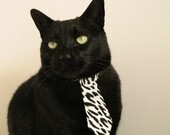 F1规则改革对比赛的深远影响，f1规则大改2022