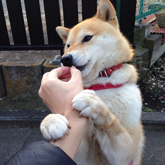 _快船迎战强敌,团队合作彰显实力_,快船队官方