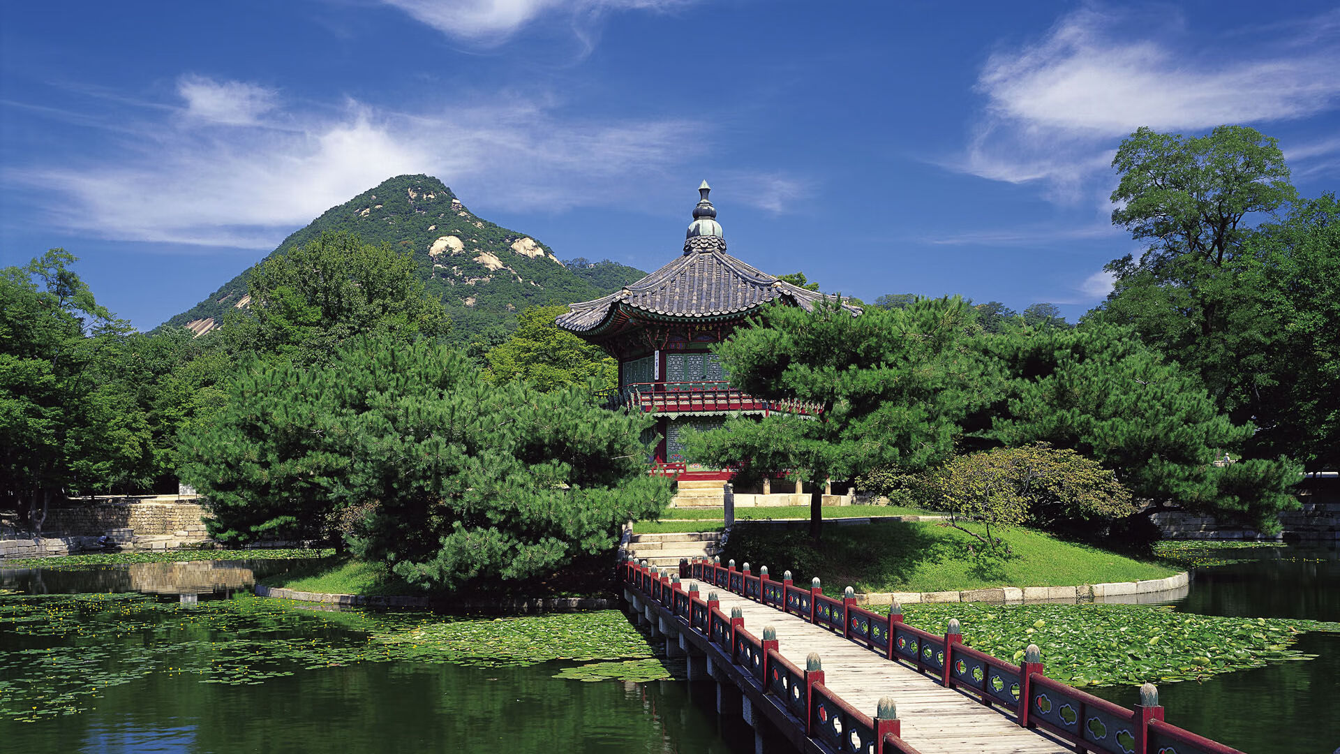 _运动员感言：逆境中的手心汗水与坚持_，运动员心疼