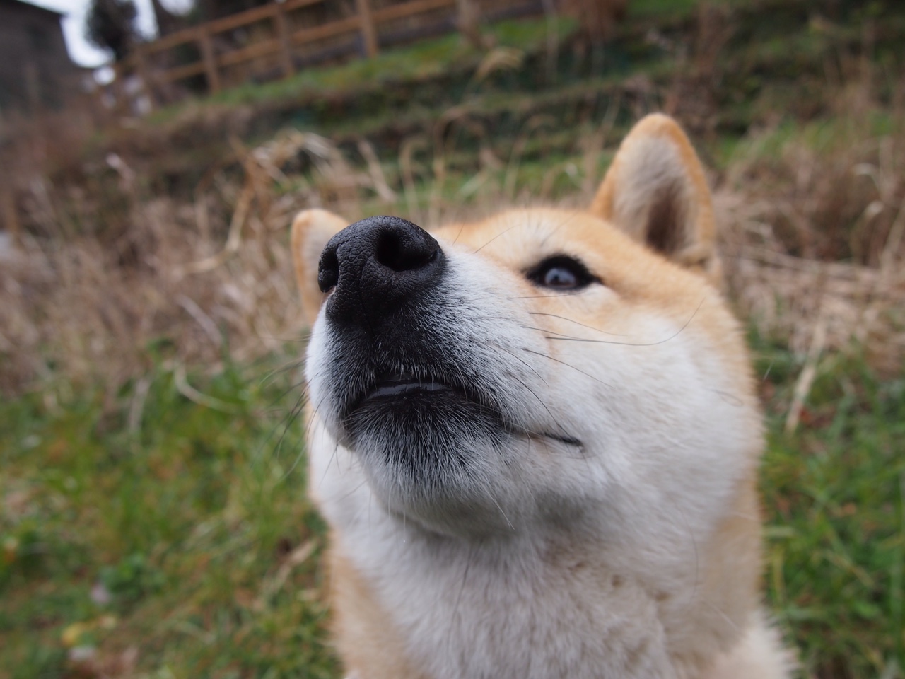 未来：全球化、数字化引领篮球新未来，未来数字化是什么意思