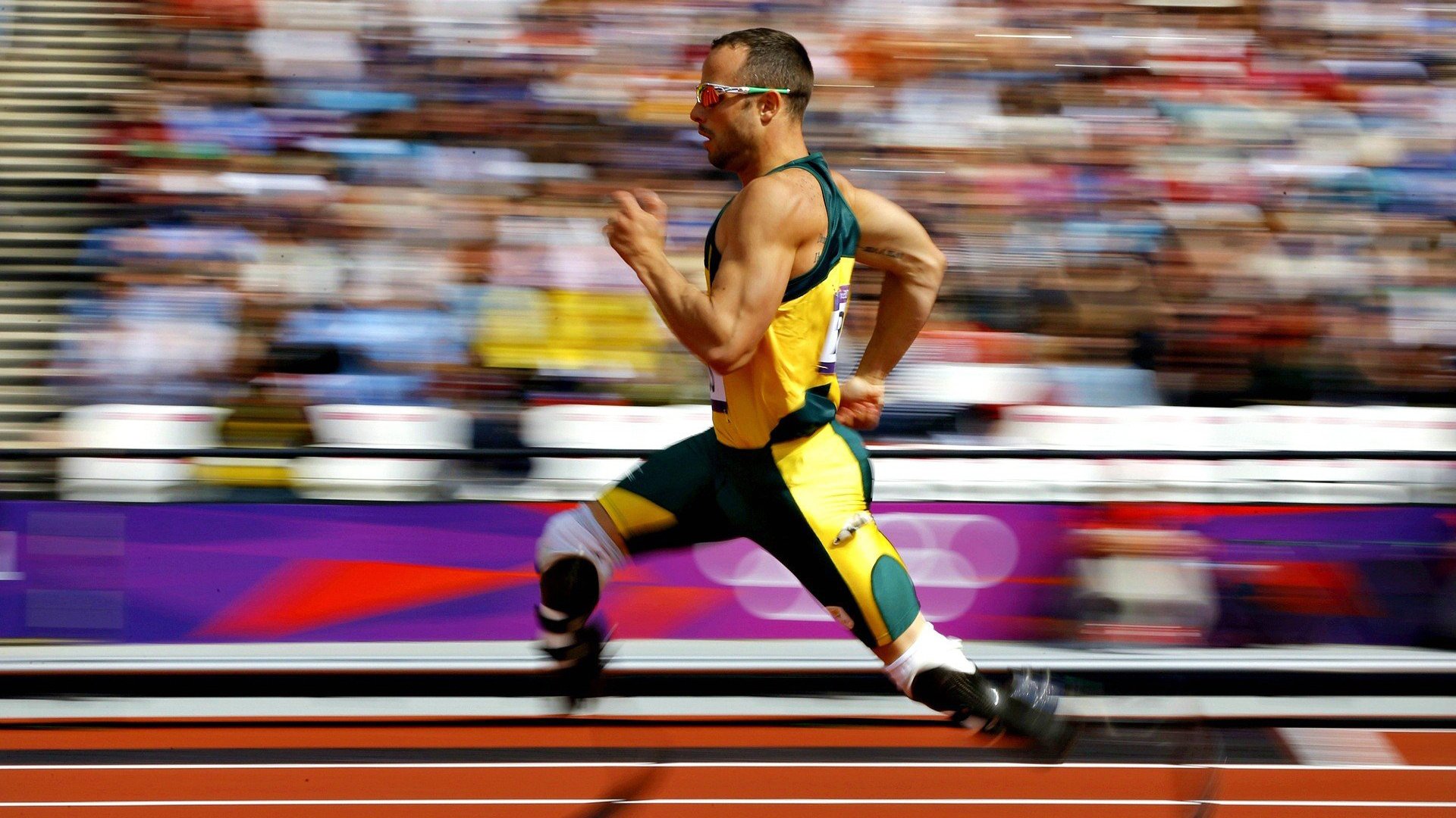 荷兰马术协会与科技公司合作，开发虚拟现实训练平台，提升骑手技能。