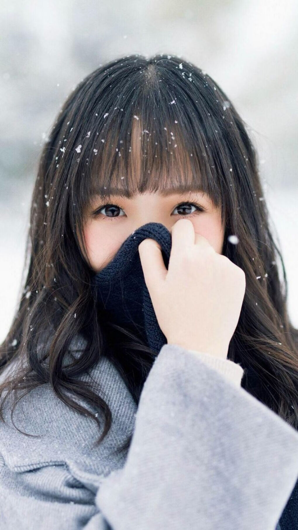 荷兰马术协会与美洲马术协会合作,举办国际马术培训班。,荷兰马种