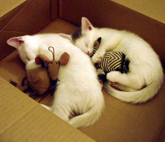 逆风翻盘：最惊心动魄的比赛逆转，逆风翻盘的前一句