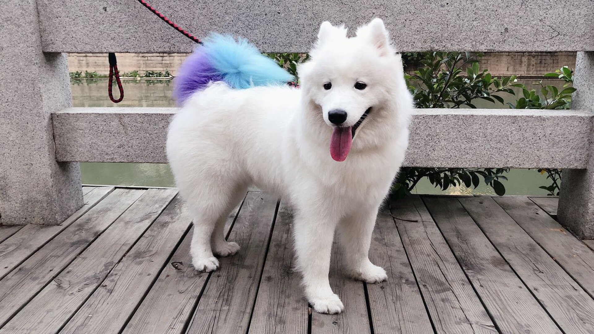 罗马队员替补上场取得关键进球,帮助球队取胜,罗马队足球