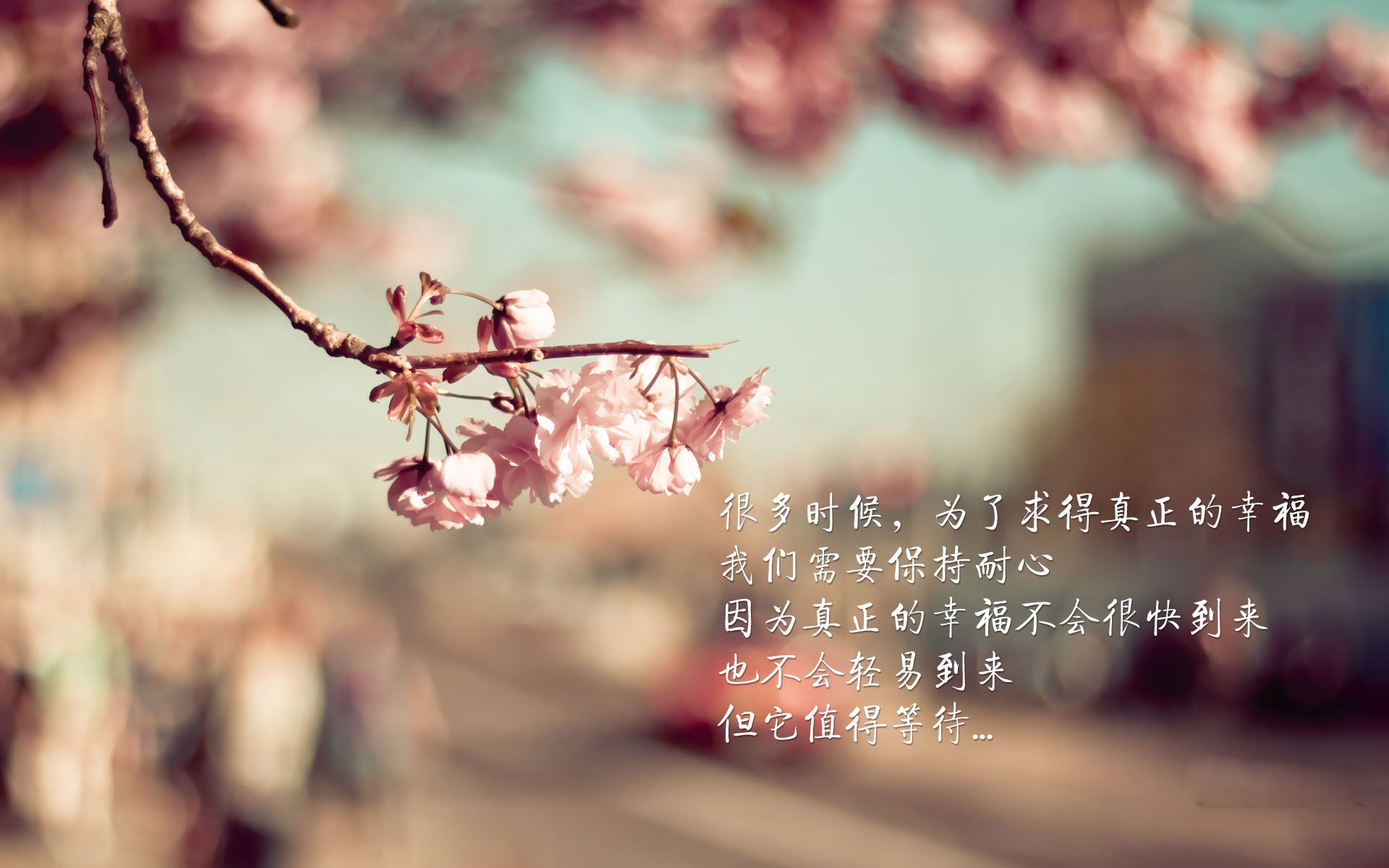 运动训练心理辅导模式与教学实践研究,运动心理训练方案设计与效果评价实验报告