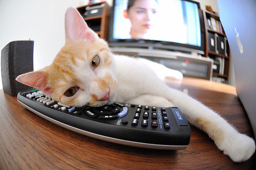 体育新闻中心发布体育社群运营策略研究成果,体育社团公众号