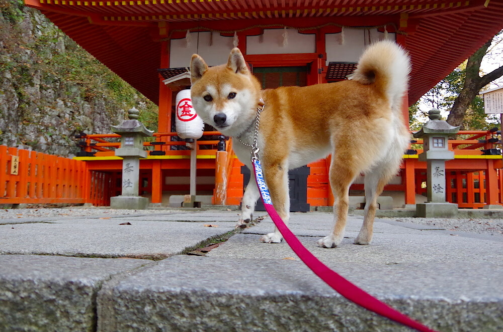 后防失误频率是否决定球队最终排名走势,后防最好的球队