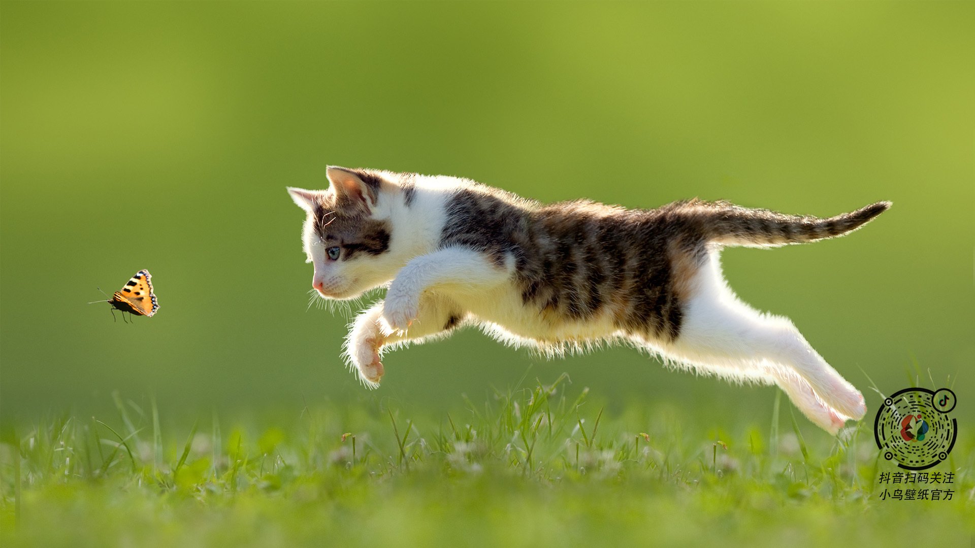 奥运村建设项目进展顺利如期完成，奥运村现状