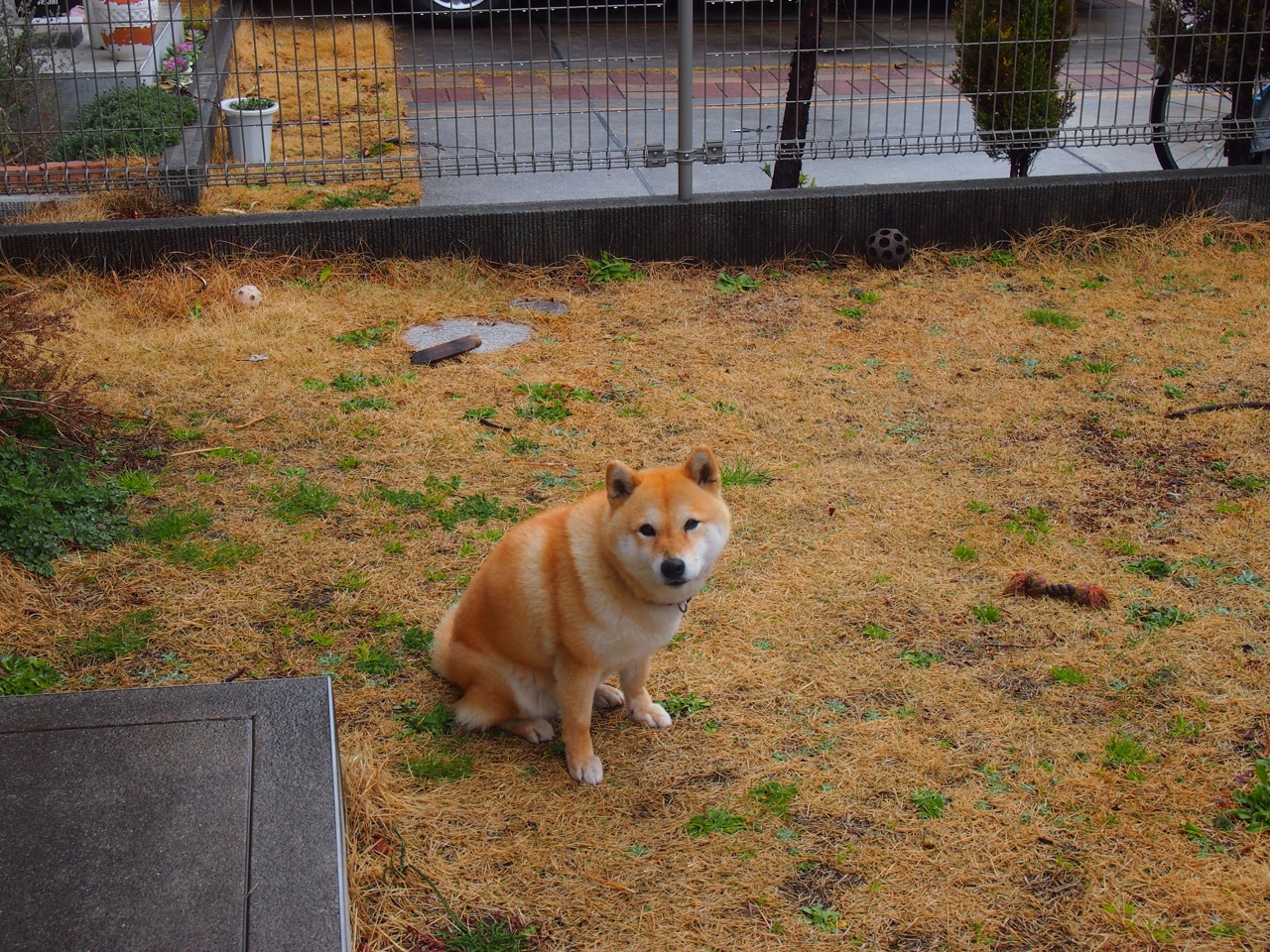 青少年球员身体指标评估标准不统一,青少年体能评估表