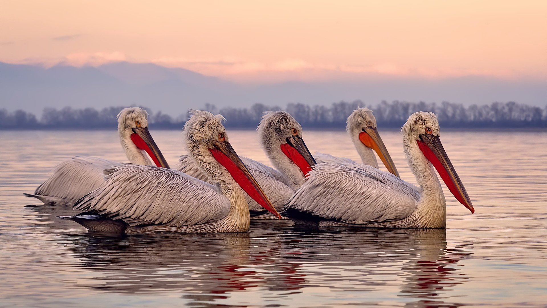 国家滑板协会公布全国青少年排名更新机制,国家滑板队训练中心