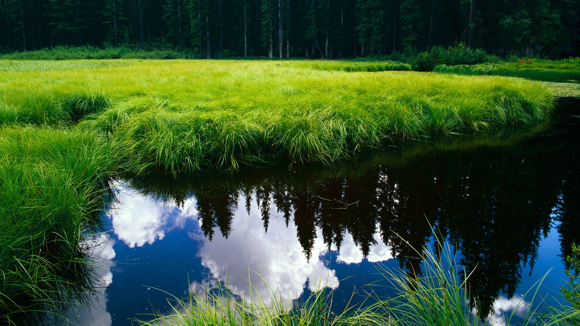 球队引入心理咨询师,重视球员心理健康管理,球员心态