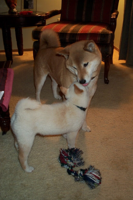 篮球俱乐部社会责任感增强积极参与公益和社区活动，篮球俱乐部活动方案