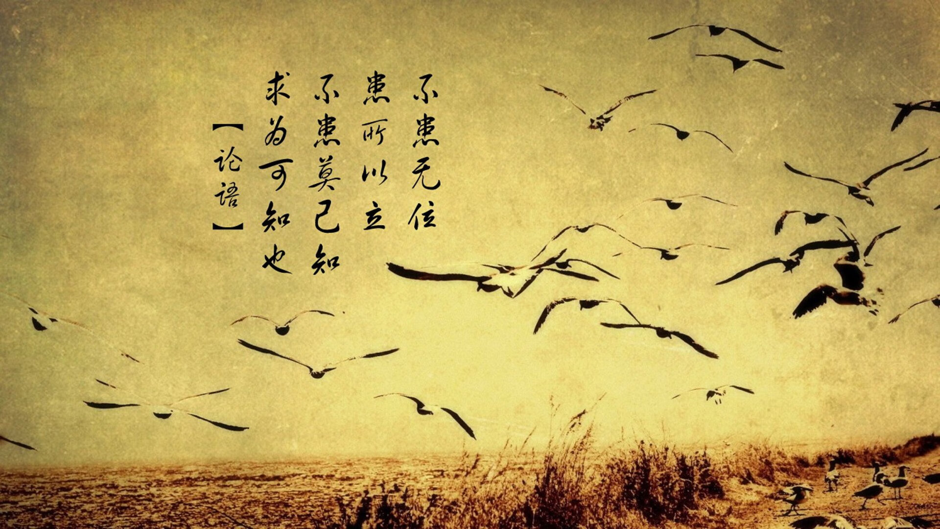 美洲杯的赛季规划与管理,2021年美洲杯规则